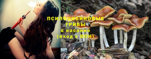 мефедрон Заводоуковск